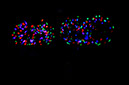 _6096423614